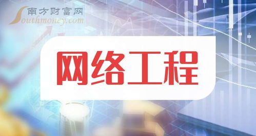 網絡工程行業概覽 主要企業類型與代表公司（2025年11月更新）
